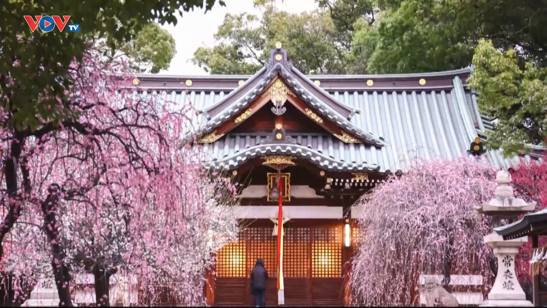 ⛩️ 시바가키 신사 (柴籬神社) 이미지 6